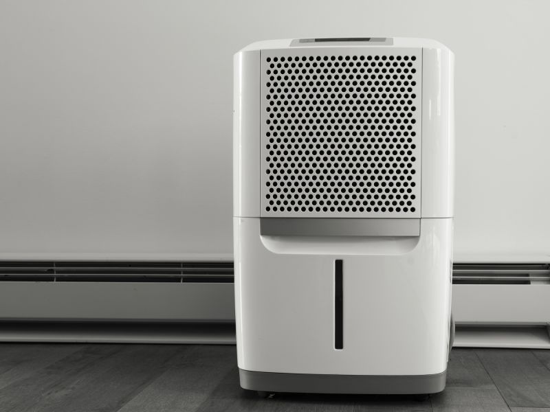 Basement Dehumidifier Service in Sarasota, FL