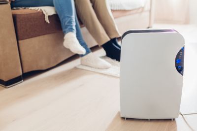 Residential Humidifier Service in Naples, FL